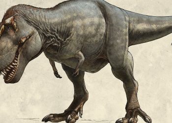 Identifican al antepasado más cercano conocido de los tiranosaurios