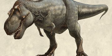 Identifican al antepasado más cercano conocido de los tiranosaurios