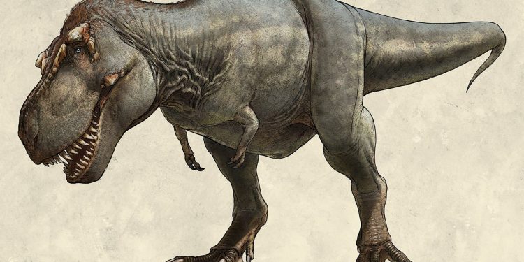 Identifican al antepasado más cercano conocido de los tiranosaurios
