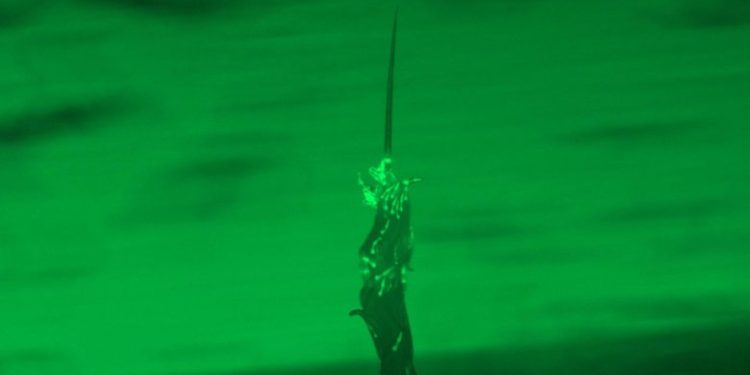 Observan por primera vez en la naturaleza las torres vivientes de gusanos