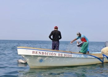 El MAGA establece veda de pesca de varias especies en el área del mar Caribe. /Foto: Archivo AGN