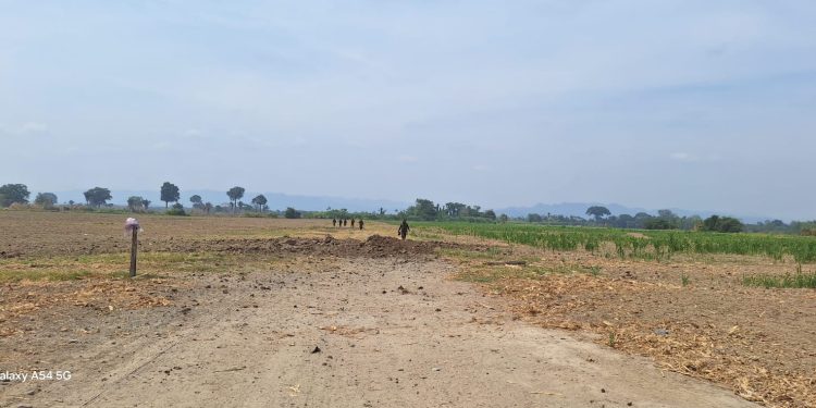 Para garantizar la inhabilitación de las pistas, se utilizaron explosivos que generaron cráteres sobre la superficie de rodadura. / Foto: Ejército