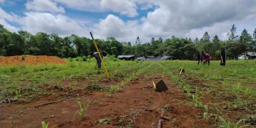 Con este tipo de iniciativas, el MAGA reafirma su compromiso con el bienestar de la población. / Foto: MAGA
