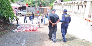 Capturan a presunto cuatrero. / Foto: PNC.