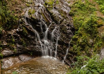 El MARN realizará una segunda ronda para la construcción de iniciativa de ley de aguas. (Foto: Conap)