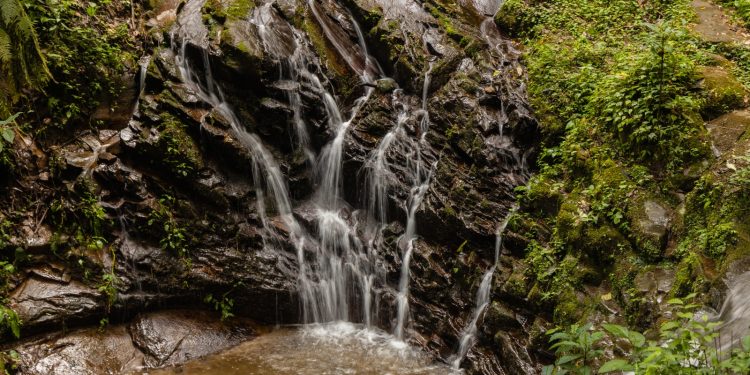 El MARN realizará una segunda ronda para la construcción de iniciativa de ley de aguas. (Foto: Conap)