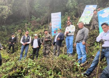 Campaña de reforestación Sembrando Huella llega a San Marcos