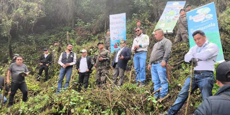 Campaña de reforestación Sembrando Huella llega a San Marcos