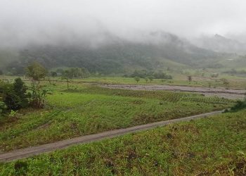 MAGA emite recomendaciones ante lluvias de la tormenta tropical Erick. / Foto: MAGA.
