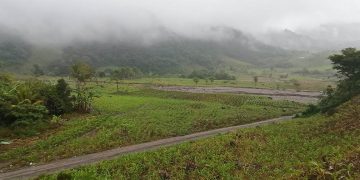 MAGA emite recomendaciones ante lluvias de la tormenta tropical Erick. / Foto: MAGA.