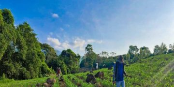 Mesa Técnica Agroclimática contribuye a una agricultura sostenible en Santa Rosa