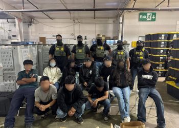 Diez menores de edad entre los detenidos en la redada contra migrantes en una granja de cannabis legal estatal en California. / Foto: EFE.