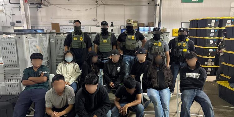 Diez menores de edad entre los detenidos en la redada contra migrantes en una granja de cannabis legal estatal en California. / Foto: EFE.