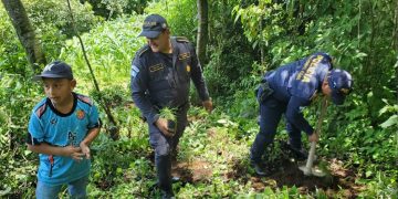 Jornada de reforestación fortalece la conciencia ambiental en Santa Clara La Laguna