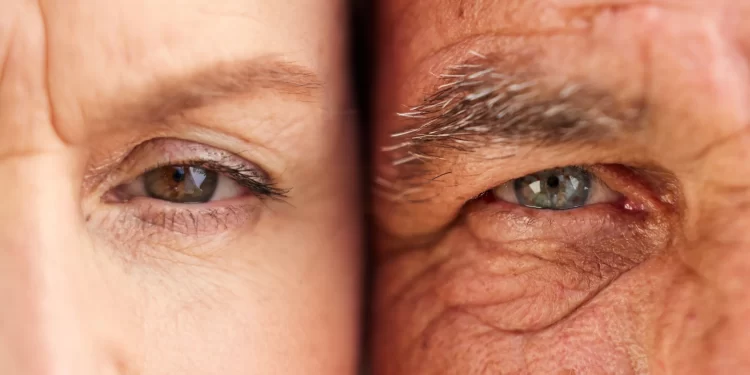 La inflamación del envejecimiento no es universal, depende del entorno y estilo de vida