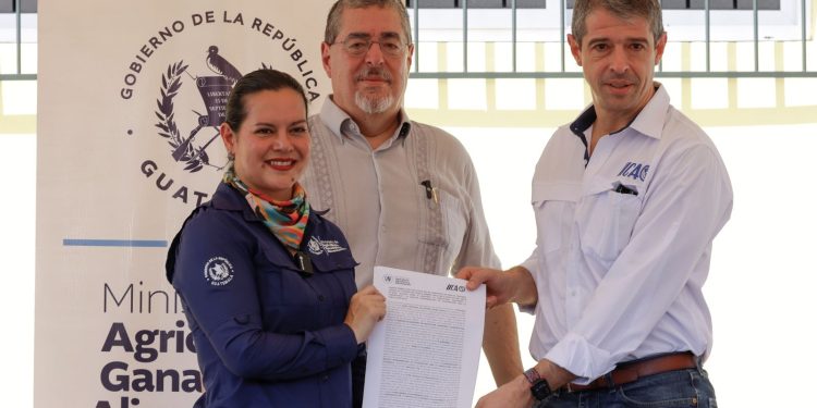 La ministra de Agricultura, María Fernanda Rivera, firma convenio de cooperación con el representante de IICA, Federico Villareal, junto al presidente Bernardo Arévalo.