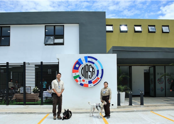 Se ha habilitado infraestructura que permite a los manejadores realizar labores administrativas, ingerir alimentos e incluso descansar durante turnos prolongados. / Foto: MAGA.