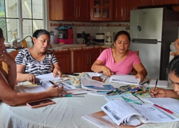 Luego de 17 años, el Programa Nacional de Alfabetización vuelve por TGW./Foto: CIV.