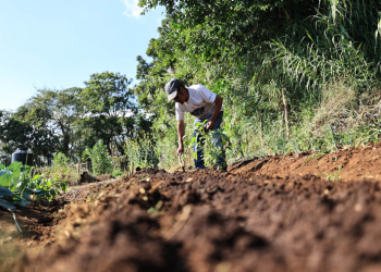 El impulso de estas prácticas por parte del MAGA responde a una estrategia más amplia para fortalecer la resiliencia del sistema agroalimentario nacional. / Foto: MAGA