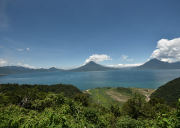 Conap resalta los beneficios del Tul para la conservación del Lago de Atitlán. (Foto: Gobierno de Guatemala/SCSPR)
