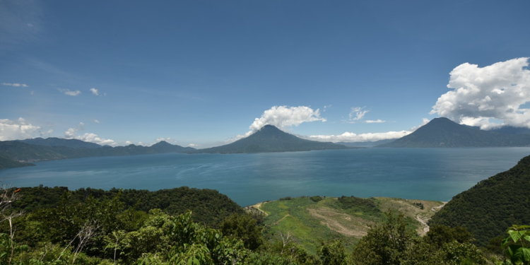 Conap resalta los beneficios del Tul para la conservación del Lago de Atitlán. (Foto: Gobierno de Guatemala/SCSPR)