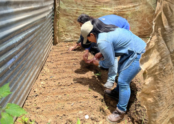 Las familias conocieron temas clave como la agricultura con enfoque nutricional, los pilares de la seguridad alimentaria y la relevancia de los micro y macronutrientes. / Foto: MAGA