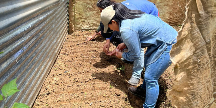 Las familias conocieron temas clave como la agricultura con enfoque nutricional, los pilares de la seguridad alimentaria y la relevancia de los micro y macronutrientes. / Foto: MAGA