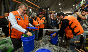 Presidente supervisa ayuda humanitaria para familias afectadas por sismos