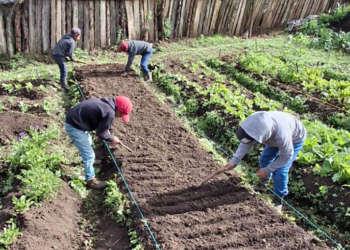 El MAGA reafirma su compromiso de continuar trabajando en el territorio, impulsando acciones sostenibles que cambien vidas. / Foto: MAGA