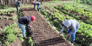 El MAGA reafirma su compromiso de continuar trabajando en el territorio, impulsando acciones sostenibles que cambien vidas. / Foto: MAGA