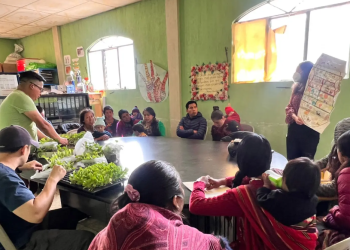 Brigadas de Salud dan apoyo nutricional a niños y niñas en Totonicapán. (Foto: MSPAS)
