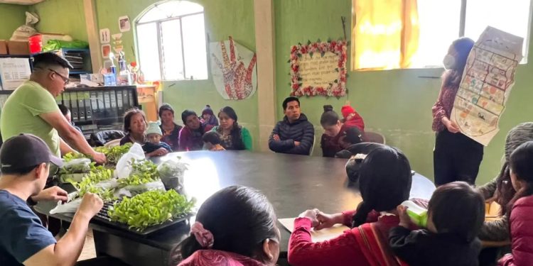 Brigadas de Salud dan apoyo nutricional a niños y niñas en Totonicapán. (Foto: MSPAS)