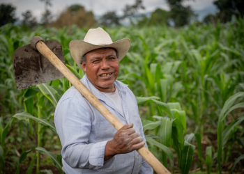 Con estas condiciones, el crédito Tob'anik se convierte en un verdadero motor de cambio para el agro guatemalteco. / Foto: Álvaro Interiano