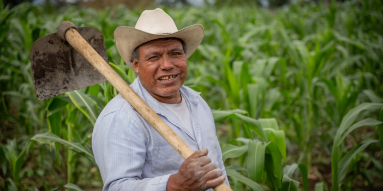 Con estas condiciones, el crédito Tob'anik se convierte en un verdadero motor de cambio para el agro guatemalteco. / Foto: Álvaro Interiano
