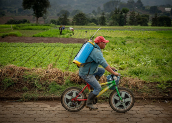 Los agricultores beneficiados por el Crédito Tob'anik pertenecen a distintos departamentos del país, evidenciando una cobertura territorial amplia. / Foto: Álvaro Interiano.