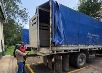 Quienes deseen obtener la Licencia deben presentar el vehículo para revisión en la sede de la Dirección de Inocuidad, en zona 13 de la capital. / Foto: MAGA