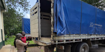 Quienes deseen obtener la Licencia deben presentar el vehículo para revisión en la sede de la Dirección de Inocuidad, en zona 13 de la capital. / Foto: MAGA