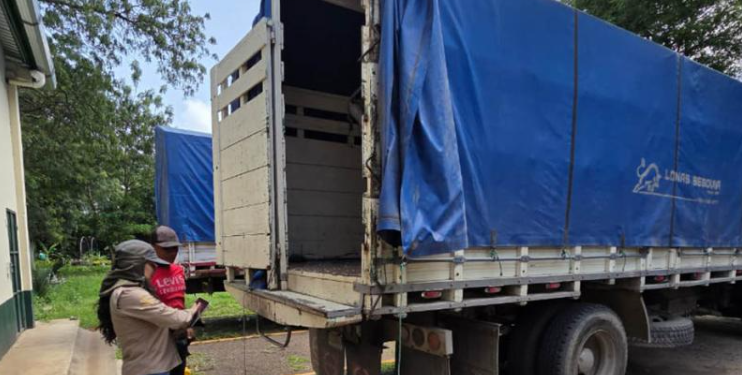 Quienes deseen obtener la Licencia deben presentar el vehículo para revisión en la sede de la Dirección de Inocuidad, en zona 13 de la capital. / Foto: MAGA