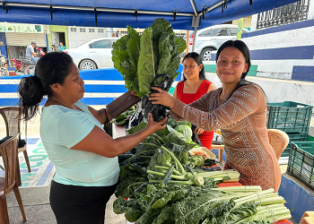 Con cada nueva feria, el MAGA reafirma su voluntad de mantener contacto directo con las comunidades y apoyar el desarrollo sostenible del país. / Foto: MAGA