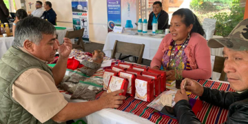 Las organizaciones participantes reciben acompañamiento técnico de la Difroproco. / Foto: MAGA