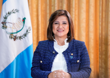 Vicepresidenta comparte los esfuerzos de Guatemala contra los delitos VET en la OEA. (Foto: vicepresidencia)