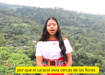 Comunidad lingüística tektiteka produce material educativo en el idioma./Foto: ALMG.