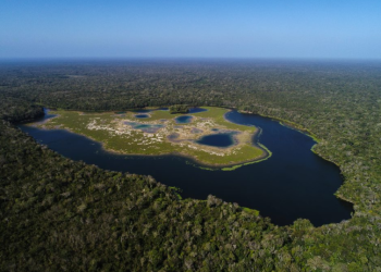 La Reserva de la Biosfera Maya, es uno de los pulmones verdes más importantes de la región mesoamericana. / Foto: Conap
