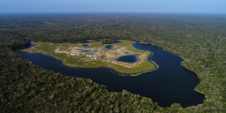 La Reserva de la Biosfera Maya, es uno de los pulmones verdes más importantes de la región mesoamericana. / Foto: Conap