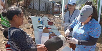 Esta atención fue clave para garantizar la salud de las mascotas y animales productivos. / Foto: MAGA.