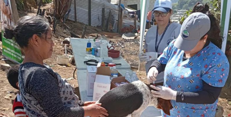 Esta atención fue clave para garantizar la salud de las mascotas y animales productivos. / Foto: MAGA.