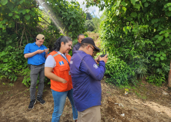 El trabajo articulado de los técnicos de extensión rural fue esencial en el manejo logístico de la ayuda. Desde la supervisión en el terreno hasta la coordinación en centros de acopio. / Foto: MAGA