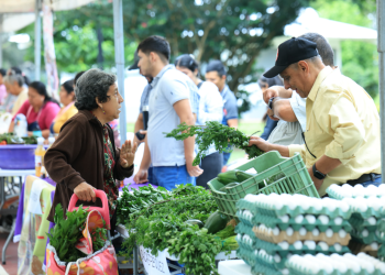 Gracias a esta venta directa, se eliminan los costos adicionales por intermediación, beneficiando tanto al productor como al consumidor final. / Foto: MAGA.