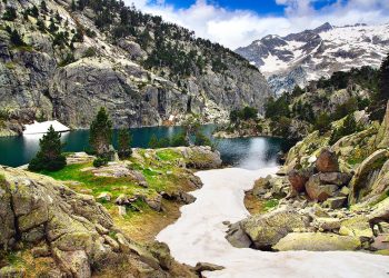 Estudio revela que en los Pirineos había gran diversidad de dinosaurios carnívoros