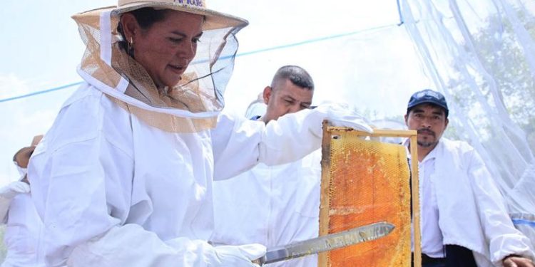Ministra de Agricultura en su visita a proyectos que impulsa la institución en Purulhá. / Foto: MAGA.